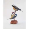 Maquette Carton Mésange Charbonnière Et Mésange Bleue