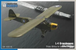 Maquette Avion L-4 Grasshopper De L'Afrique à L'Europe Centrale